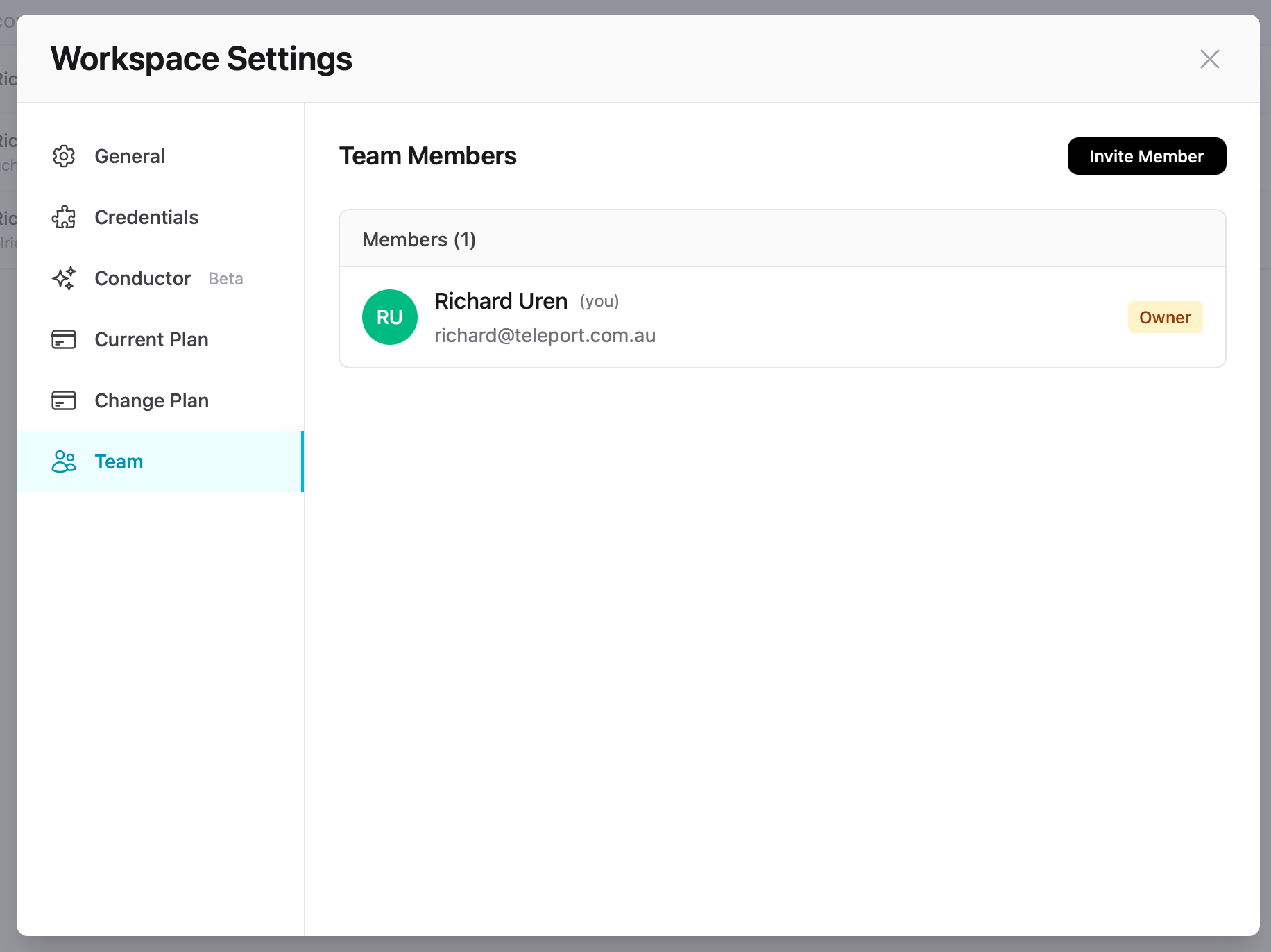Team Members list showing workspace members and roles