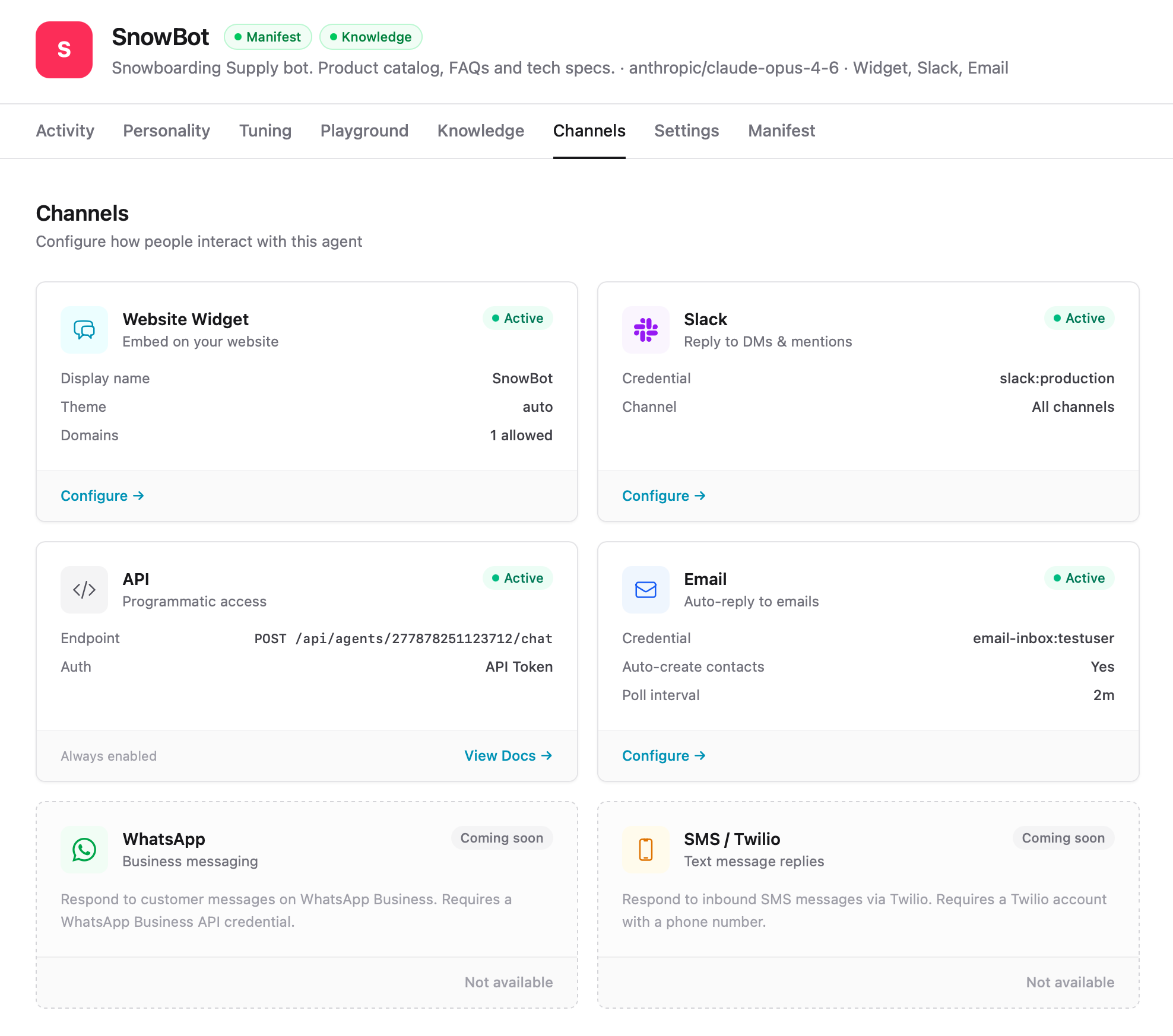 Channels configuration showing Website Widget, Slack, API, Email, WhatsApp, and SMS